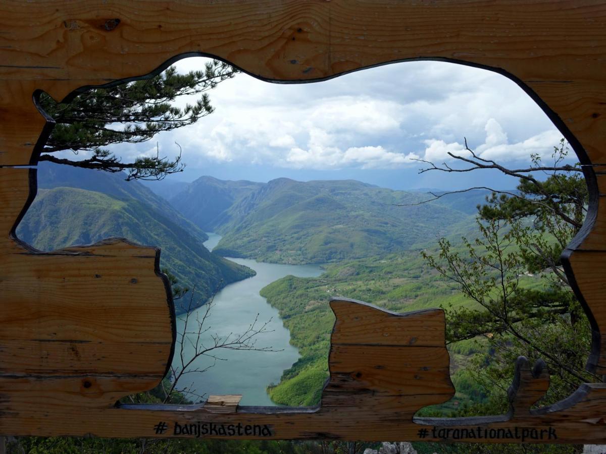 Apartmani Suncani Breg Tara Mitrovac Exterior foto